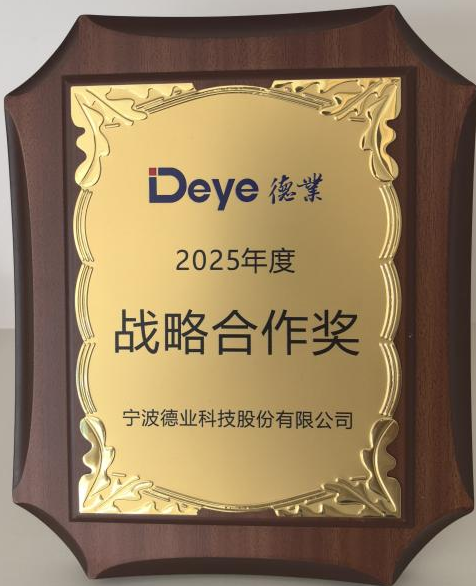 战略合作奖