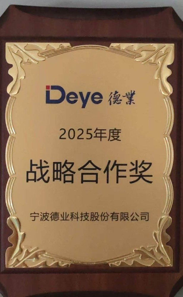 战略合作奖